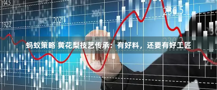 蚂蚁策略 黄花梨技艺传承：有好料，还要有好工匠