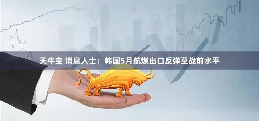 天牛宝 消息人士：韩国5月航煤出口反弹至战前水平